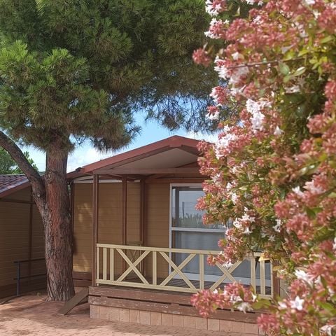 Bungalow 5 persons - Bungalow Morea sleeps 5, covered terrace, air conditioning, TV, 25m².