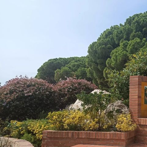 BUNGALOW 5 people - Morea 3 Rooms 5 people