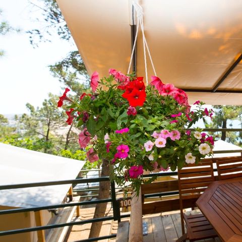 Tent van canvas en hout 5 personen - VICTORIA