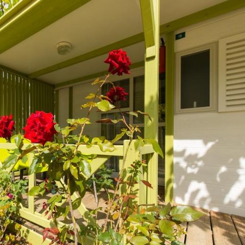 BUNGALOW 2 people - Bungalow sin vistas al mar