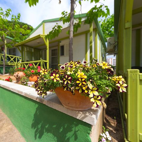 Bungalow 5 persons - Sea View