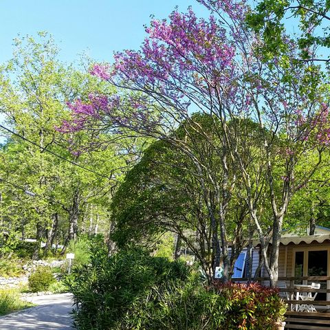 Mobilheim 4 Personen - Mobilheim CHAUMIERE - PMR 2 Zimmer Klimatisiert 4 Pers.