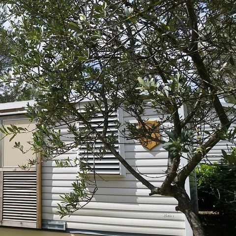 CASA MOBILE 2 persone - CABANE con 1 camera da letto e aria condizionata
