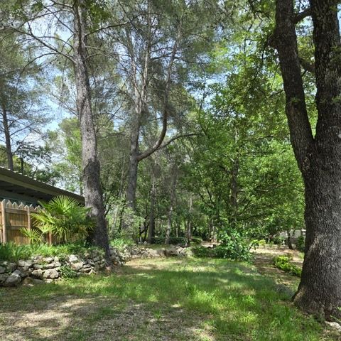 STAANPLAATS - Staanplaats tent/caravan + 10A elektriciteit 2/6 pers