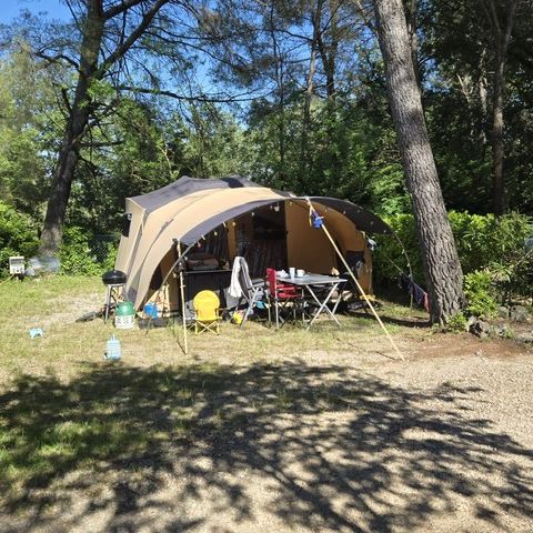 PLOT - Tent/caravan pitch + 10A electricity