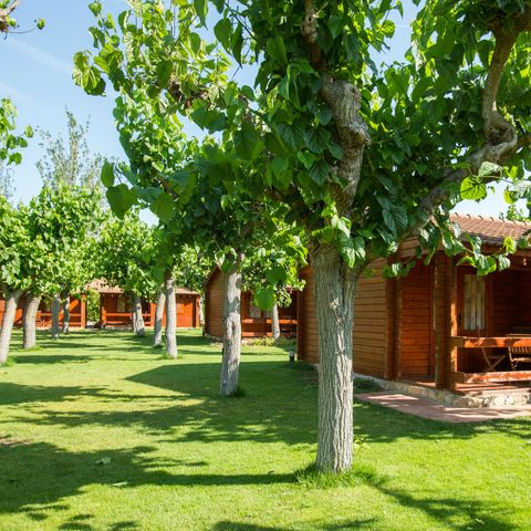 BUNGALOW 5 personas - Mestral
