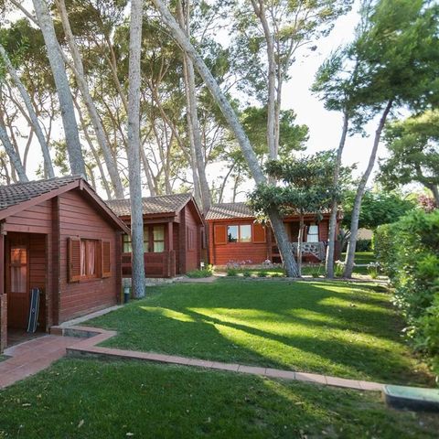 Bungalow 5 persons - 4/5-person air-conditioned bungalow (approx. 36 m²)
