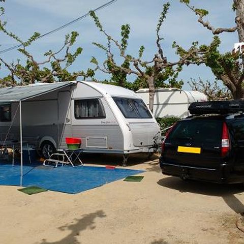 Pitch - Premium pitch: car + tent/caravan or motor home + 5A electricity