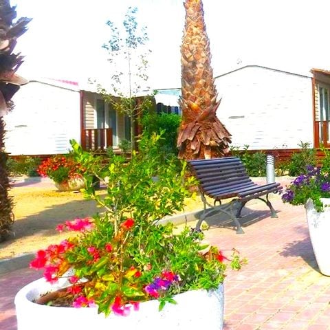 CASA MOBILE 6 persone - PALMERES 6 pers