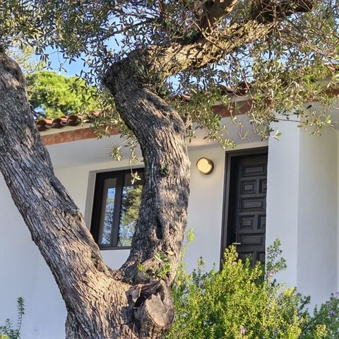 APPARTEMENT 5 personnes - Apartement B 1/5 pers