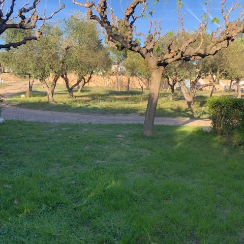 EMPLACEMENT - Emplacement Superieur Tente ou Caravane 1/6 pers