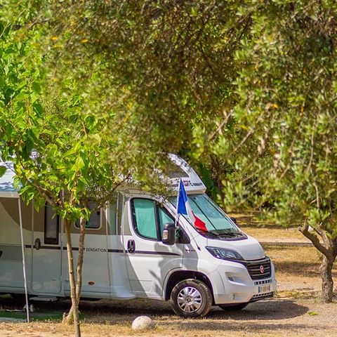 PIAZZOLA - Piazzola Premium 1/6 pers