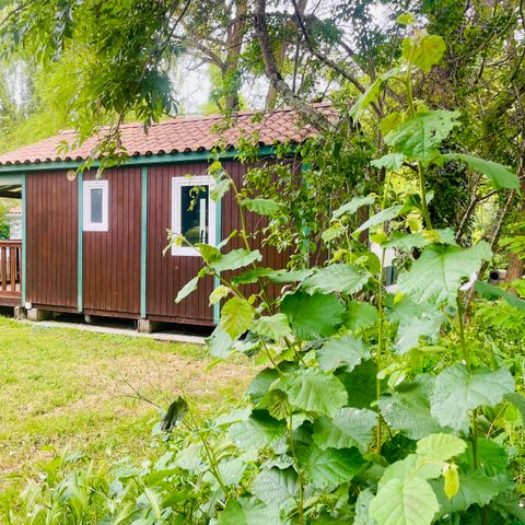 CHALET 5 people - Chalet Figuier Standard 20m² - 2 bedrooms + covered terrace - sleeps 5