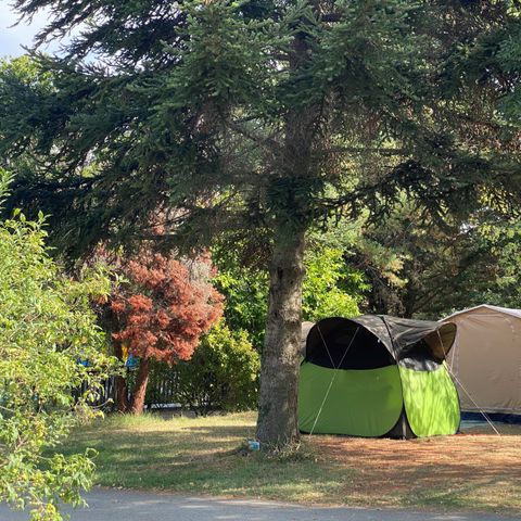 PIAZZOLA - Pacchetto "Natura" senza elettricità (1 tenda o 1 roulotte + 1 veicolo o 1 camper o 1 furgone trasformato)