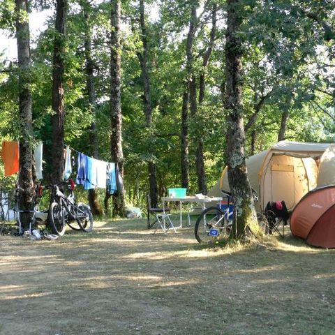 Pitch - Comfort" package with electricity (1 tent or 1 caravan + 1 vehicle OR 1 motor home OR 1 van/convertible van)