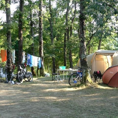 STAANPLAATS - Formule "Comfort" met elektriciteit (1 tent of 1 caravan + 1 voertuig OF 1 camper OF 1 bestelwagen/converteerbare bestelwagen)