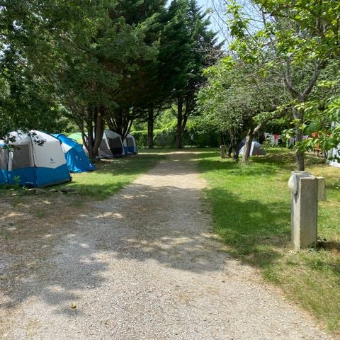 PIAZZOLA - Pacchetto "Comfort" con elettricità (1 tenda o 1 roulotte + 1 veicolo O 1 camper O 1 furgone/furgone convertibile)