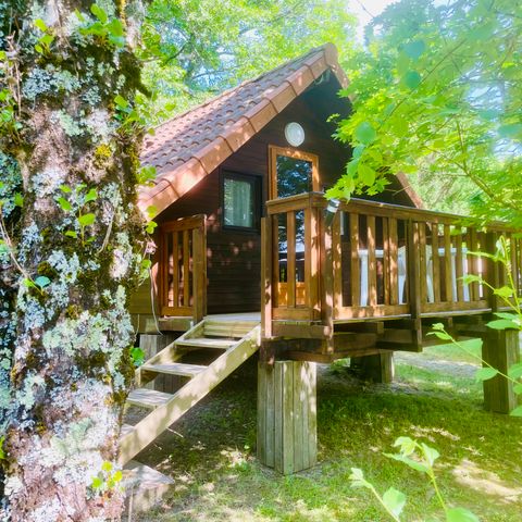 CHALET 4 people - Sunflower Standard 18m² - 1 bedrooms + 9m² uncovered terrace