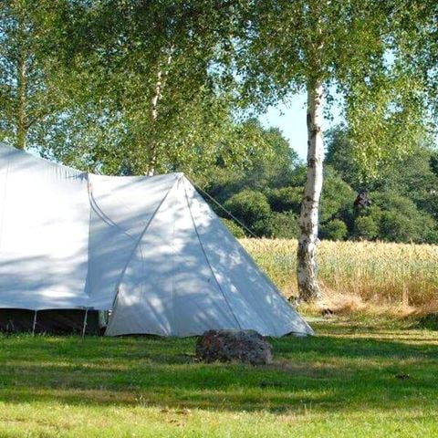 Kampeerplaats - Comfort standplaats pakket