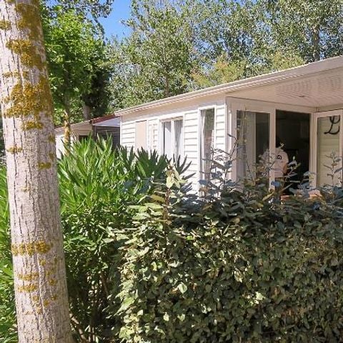 MOBILHOME 4 personnes - GRAND CONFORT COTTAGE FLORIDE CLIMATISÉ