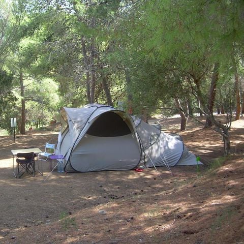 PLOT - Nature package (1 tent, caravan or motor home / 1 car) 2/6 pers