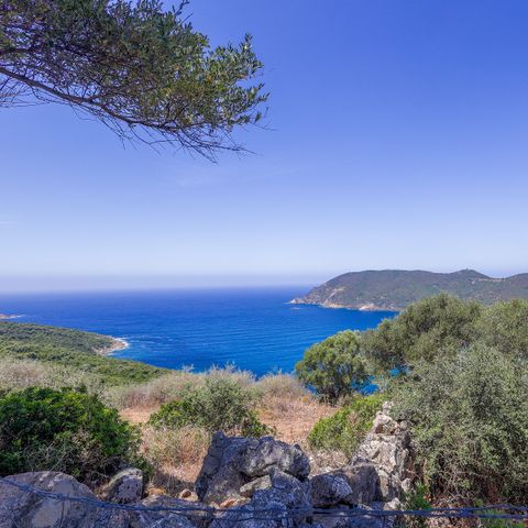 CHALET 5 people - Sea View Comfort 35m² with Air Conditioning (M/D)