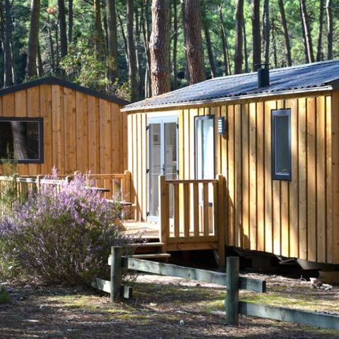 Mobilheim 6 Personen - COTTAGE PREMIUM - Les Genêts | 4-6 Pers.