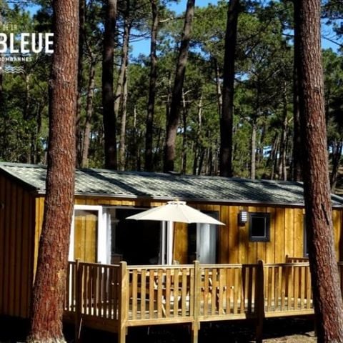 MOBILHOME 8 personnes -   COTTAGE PREMIUM - Les Genêts | 6-8 pers.