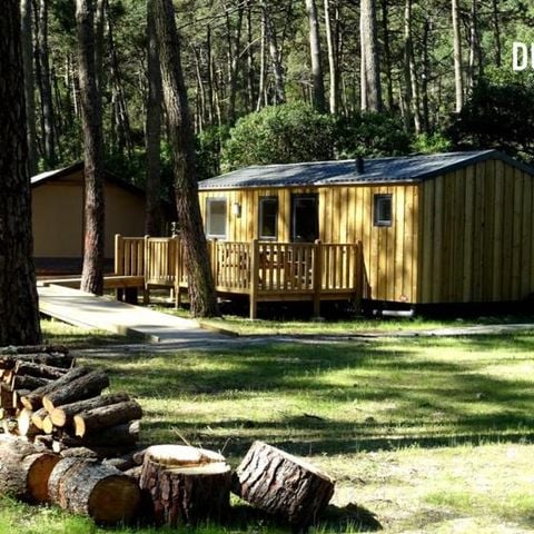 Mobile home 4 persons - COTTAGE PREMIUM PMR | 4 pers. | 2 bedrooms