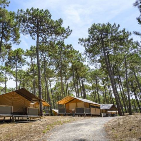 CANVAS AND WOOD TENT 5 people - Victoria Lodge for 5 people – Canvas & Wood – 30 m² – 2 bedrooms