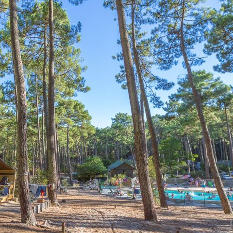 Camping de la Dune Bleue - Camping Gironde