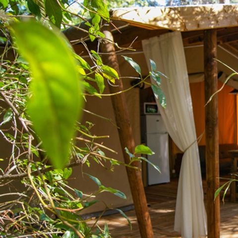 ALBERGUE 8 personas - Lodge COTTON 32m2 6/8 P (3 dormitorios)