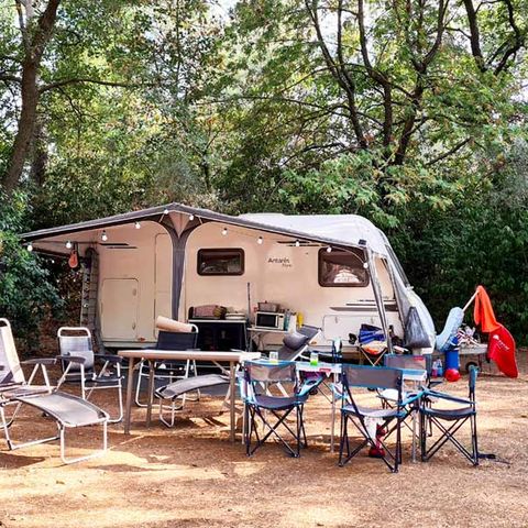 PLOT - Comfort Package: Pitch for 1 car + tent, caravan or motorhome + electricity (10A)