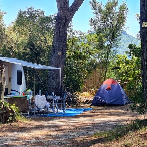 STAANPLAATS - Comfort Pakket: Standplaats voor 1 auto + tent, caravan of camper + elektriciteit (10A)