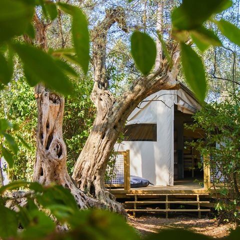 LODGE 5 persone - Lodge CANNELLE 21m² (2 camere da letto)