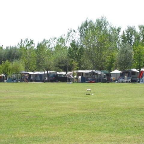 Kampeerplaats - Gouden Tente 65/125 m²