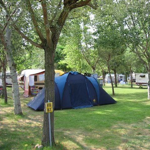 PIAZZOLA - Tenda oro 65/125 m²