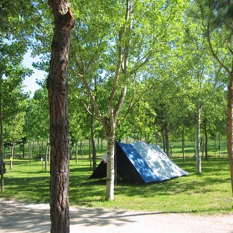 Kampeerplaats - Standaard standplaats 40-65 m²