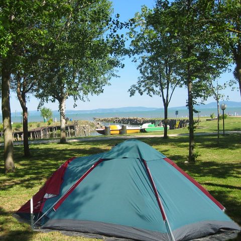 Kampeerplaats - Standaard standplaats 40-65 m²