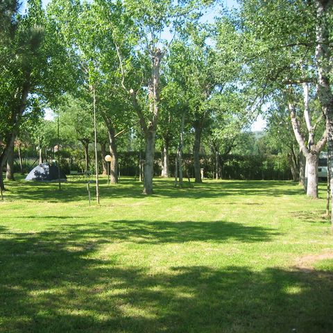 Kampeerplaats - Standaard standplaats 40-65 m²