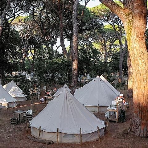 PLOT - Pitch for caravan or motorhome