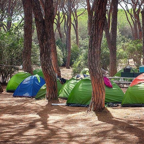 Kampeerplaats - Standplaats voor caravan of camper