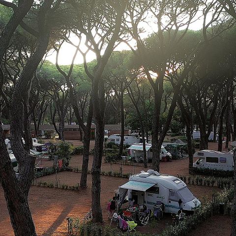 EMPLACEMENT - Emplacement caravane ou camping-car