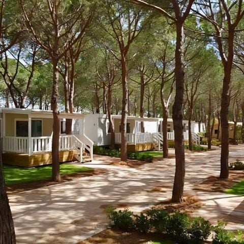 Lodge 4 persons - Lodge Comfort Maremma