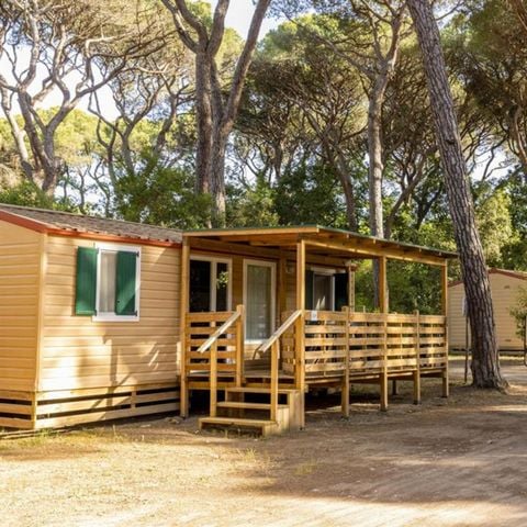 Lodge 4 persons - Lodge Confort Maremma