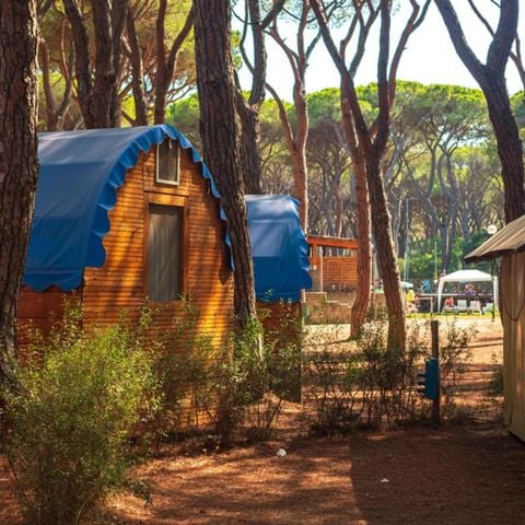 Accommodation 2 persons - Woody Tent