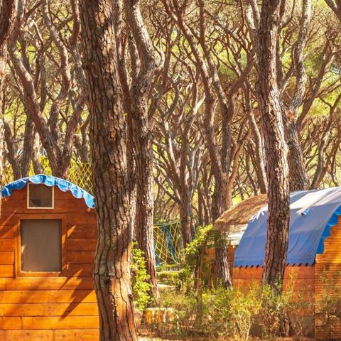 Accommodatie 2 personen - Houten tent
