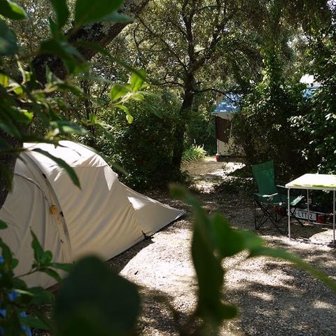 Kampeerplaats - Forfait Nature* standplaats (zonder elektriciteit) - auto, tent, caravan of camper