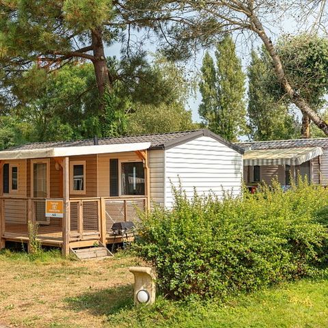 Mobile home 6 persons - Mobile-home | Comfort | 3 Bedrooms | 6 Pers. | Raised terrace