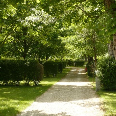 EMPLACEMENT - Forfait camping 1 emplacement  tente, caravane ou camping-car, élec. 10 A  2 pers. et + (voir options)